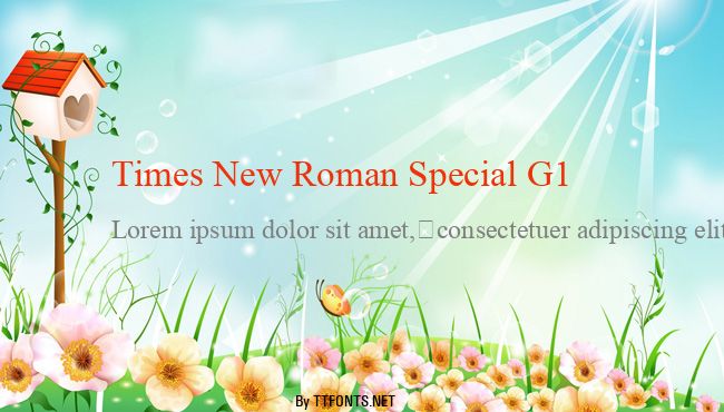 Times New Roman Special G1 example